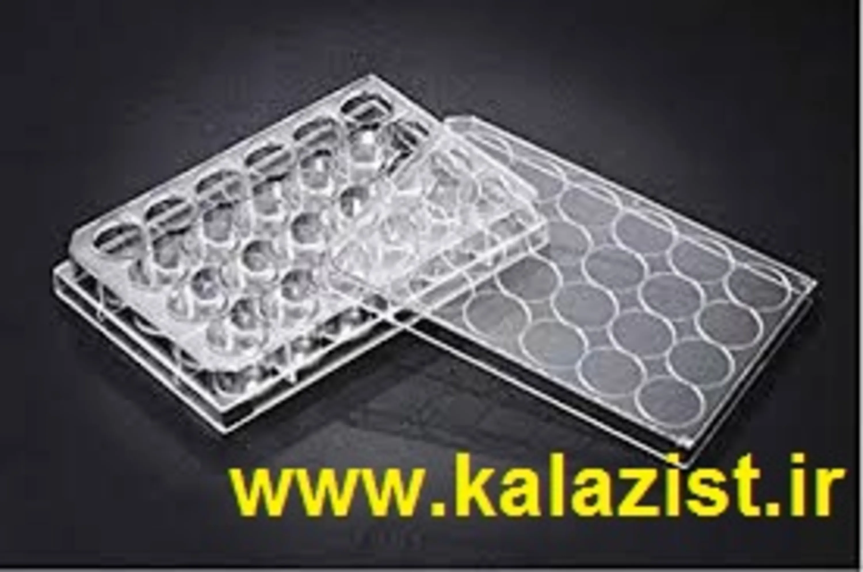 پلیت کشت سلولی 24 خانه SPL kalazist کالازیست پلیت کشت سلولی 24 خانه SPL kalazist کالازیست